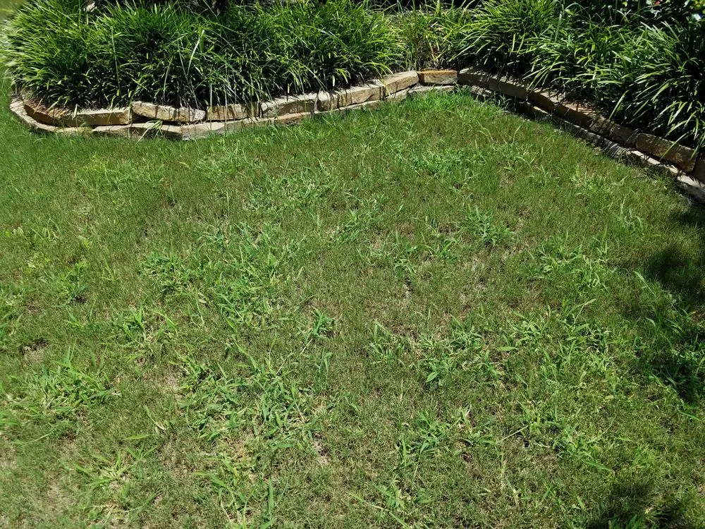 Trusted garden landscaping experts serving Houston, TX - Green Bee Lawn Care