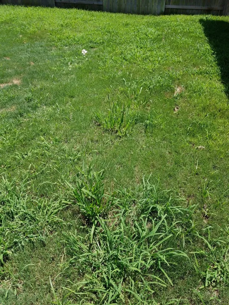 Professional residential landscaping for residential properties across Houston, TX - Green Bee Lawn Care