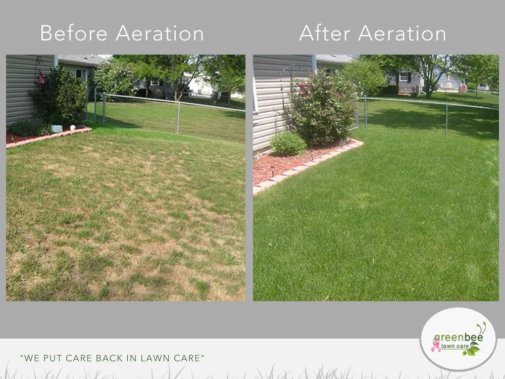Top-rated landscape installation in Houston, TX by Green Bee Lawn Care