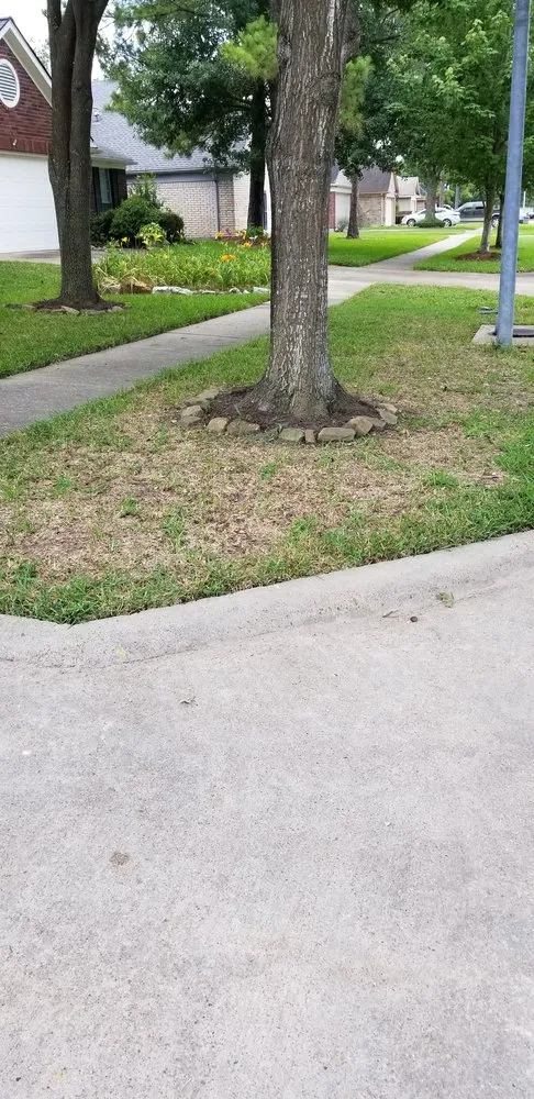 Reliable yard maintenance experts serving Houston, TX - Green Bee Lawn Care