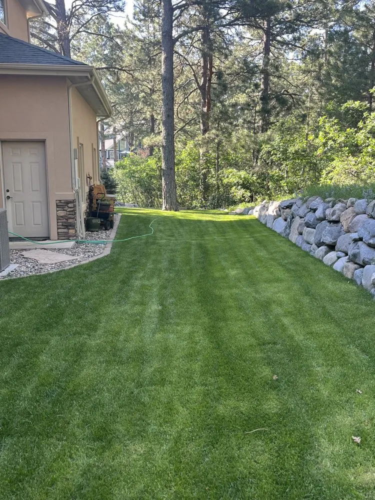 Top-rated yard maintenance for homes in Colorado Springs, CO by Green Belt Turf Farm