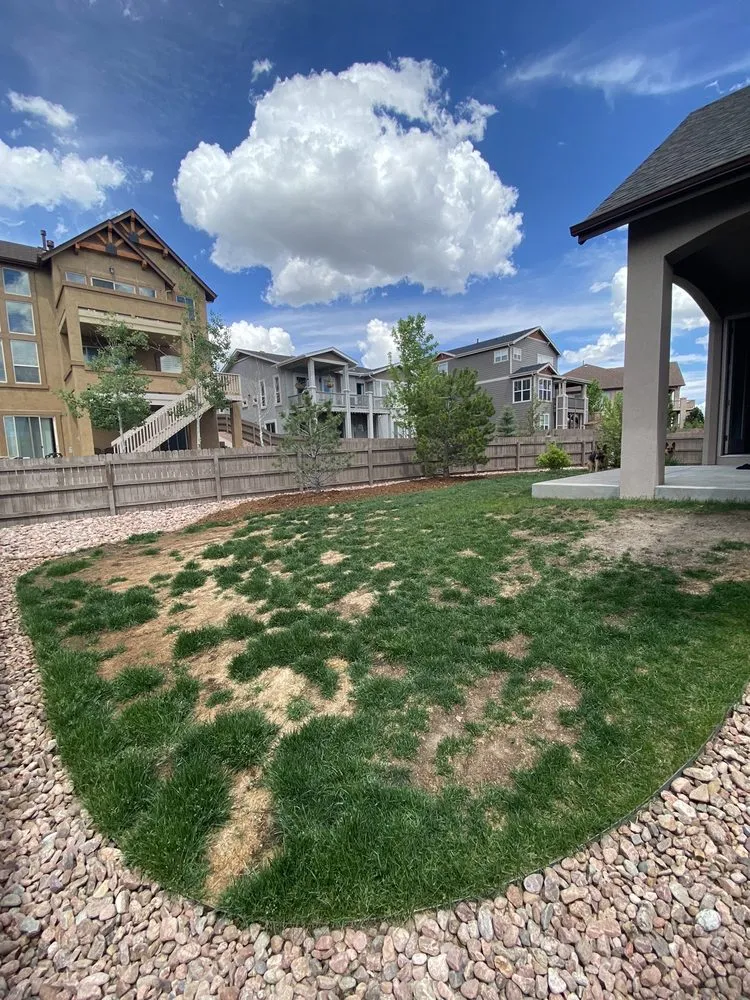 Top-rated lawn care service experts serving Colorado Springs, CO - Green Belt Turf Farm