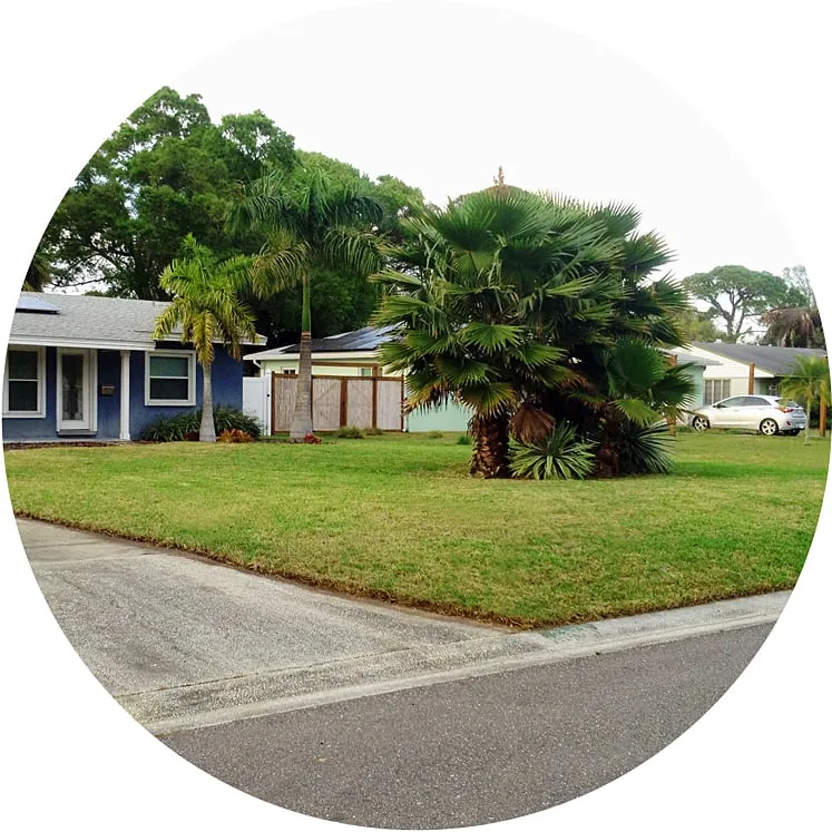 Professional yard maintenance for beautiful yards in Saint Petersburg, FL by Green Bench Lawcare