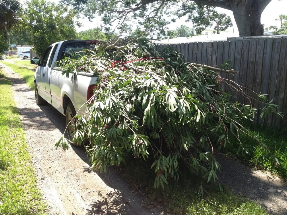 Local garden landscaping with custom design across Saint Petersburg, FL - Green Bench Lawcare