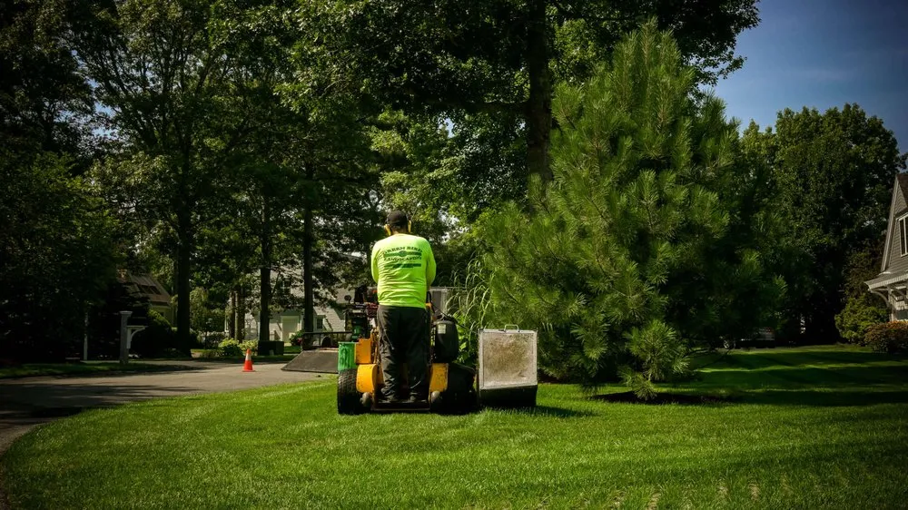 Trusted outdoor landscaping for outdoor upgrades across Harwich, MA - Green Bird Landscaping