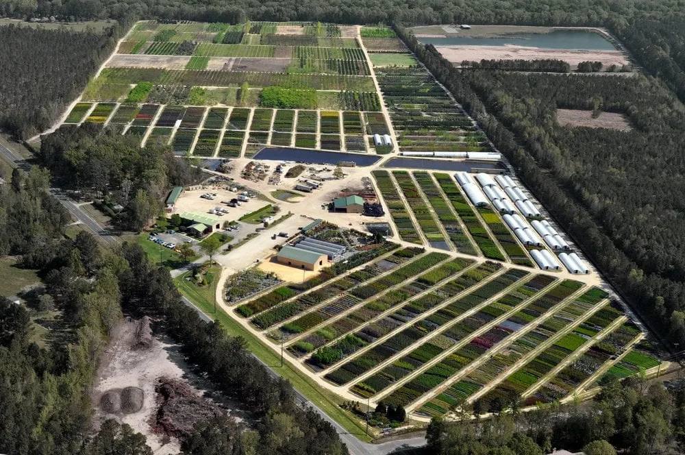 Top-rated lawn mowing service experts serving Fayetteville, NC - Green Biz Nursery & Landscaping