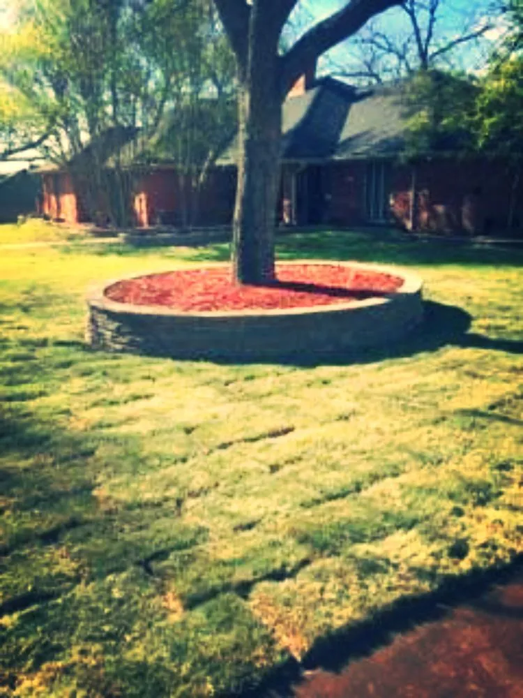 Reliable lawn care service in Winona, TX by Green Blade Irrigation & Landscape