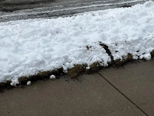 Green Blade Lawn Care & Landscaping Logo