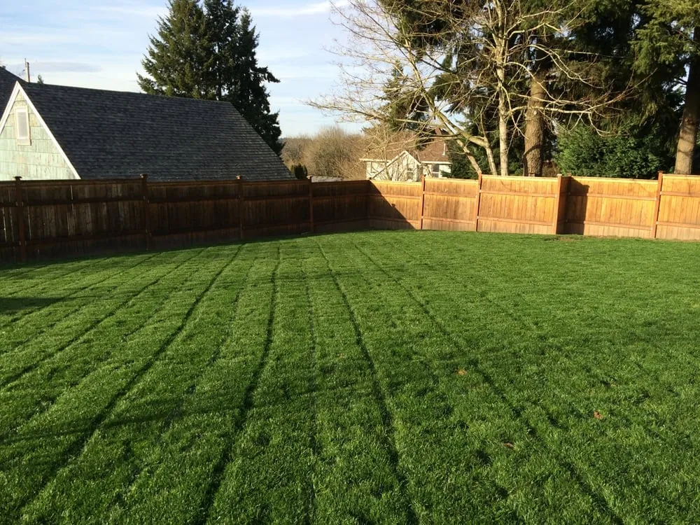 Expert yard maintenance experts serving West Linn, OR - Green Blade Lawn care