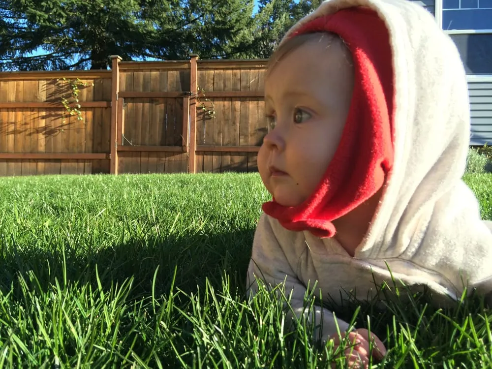 Local garden landscaping for homes across West Linn, OR - Green Blade Lawn care