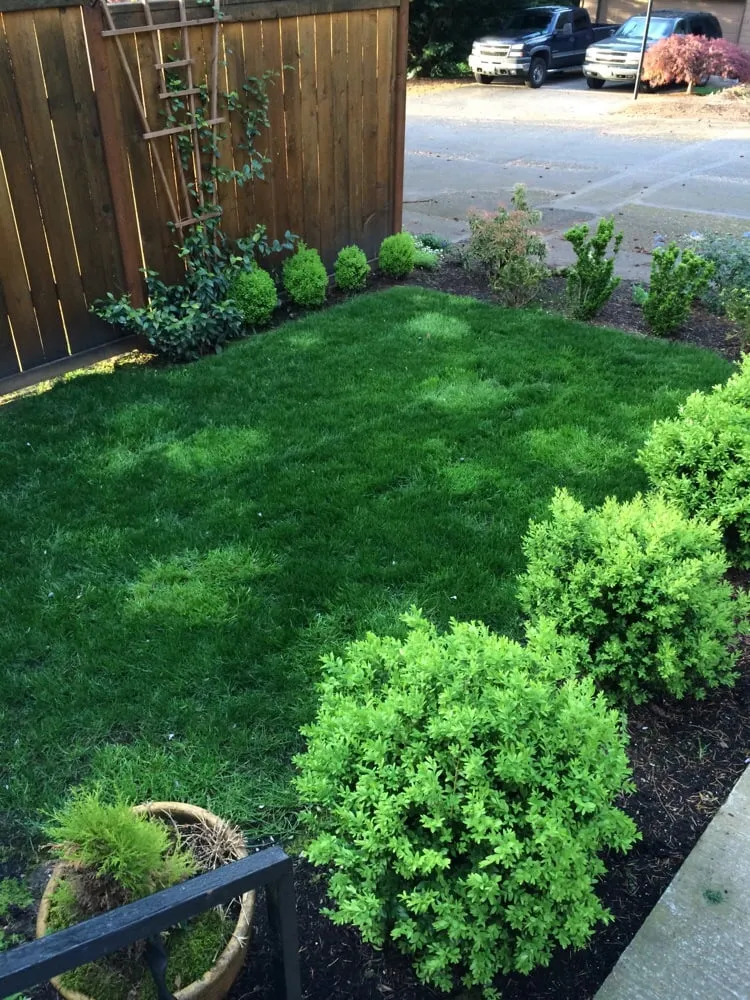 Local lawn care service in West Linn, OR by Green Blade Lawn care