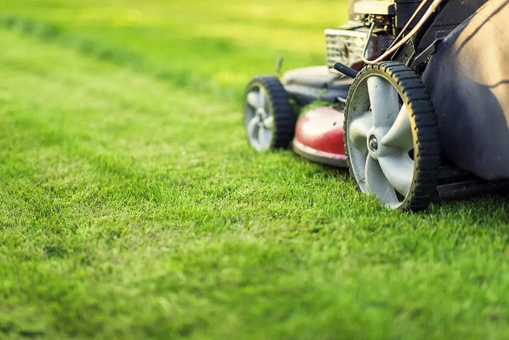Expert lawn mowing service experts serving Jasper, IN - Green Blade Lawncare