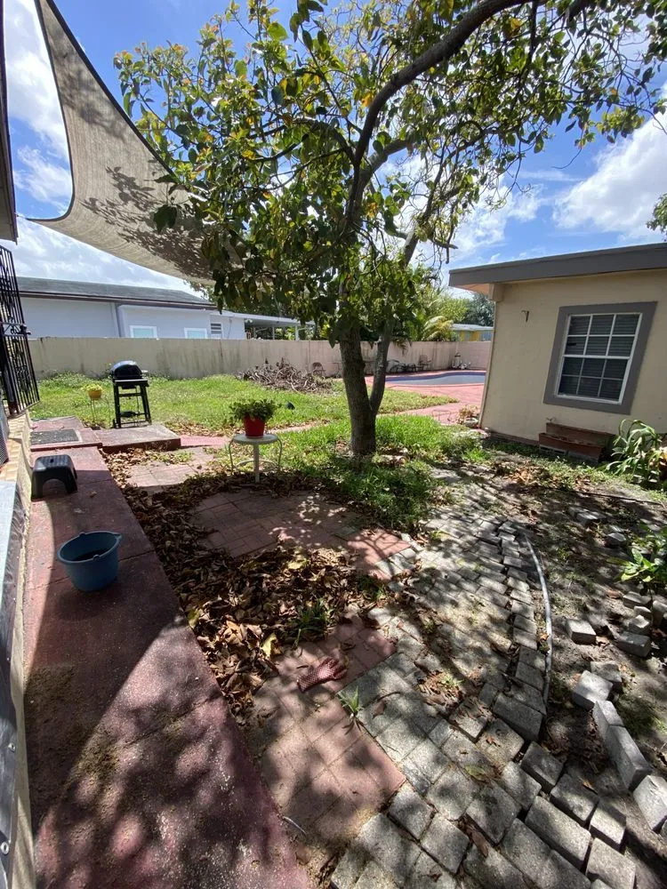 Top-rated residential landscaping for homes across Miami Shores, FL - Green Blade