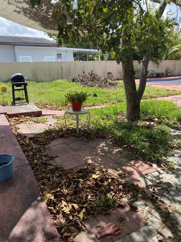 Affordable landscape design for homes across Miami Shores, FL - Green Blade