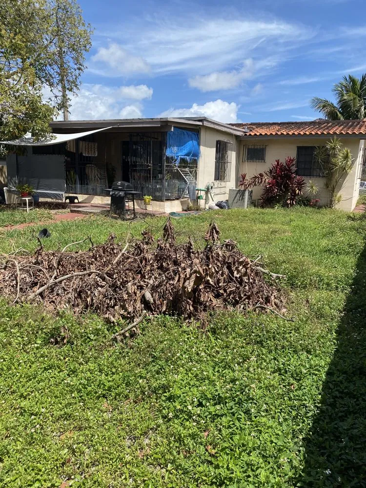 Expert yard cleanup service for homes in Miami Shores, FL by Green Blade