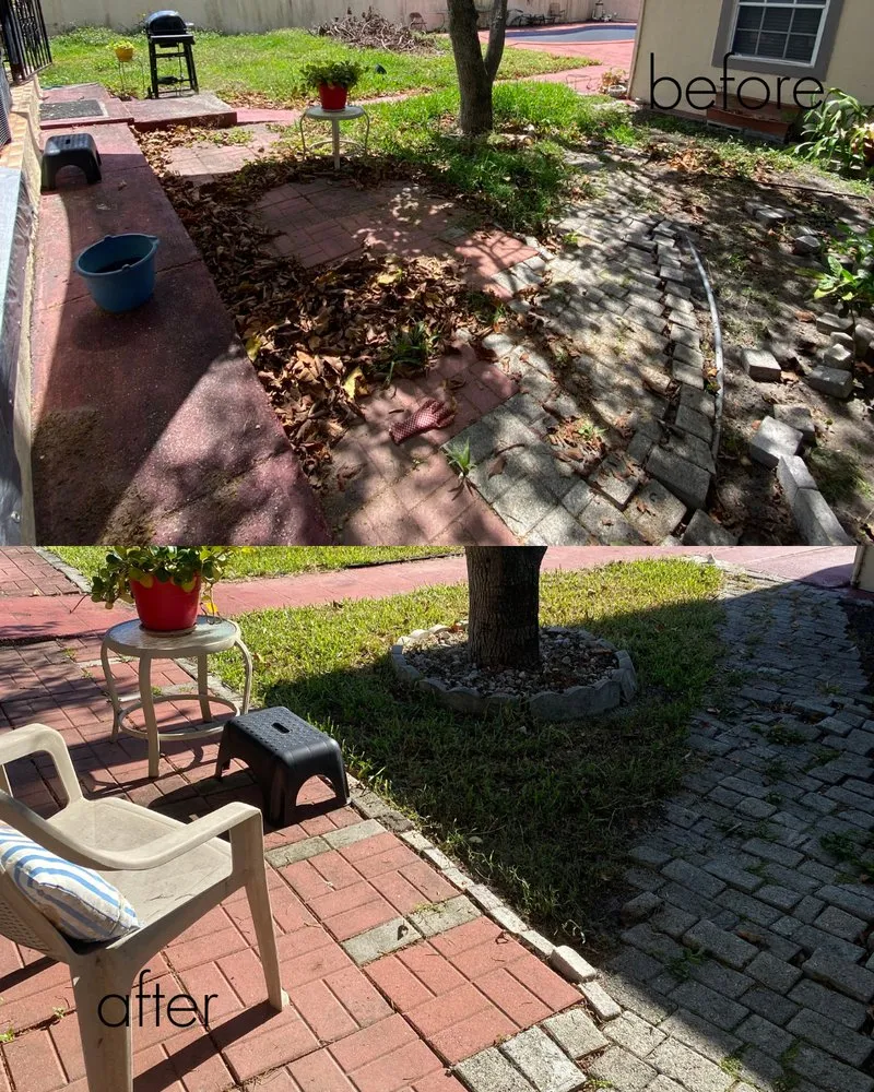 Reliable landscape design in Miami Shores, FL by Green Blade