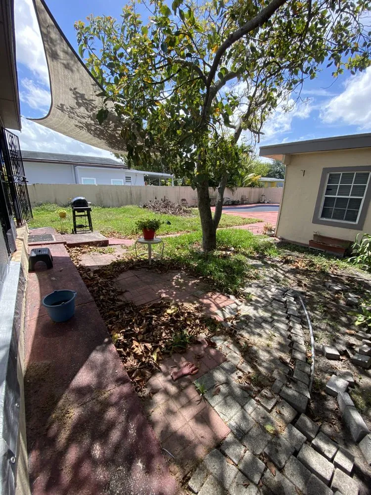 Expert landscape design experts serving Miami Shores, FL - Green Blade