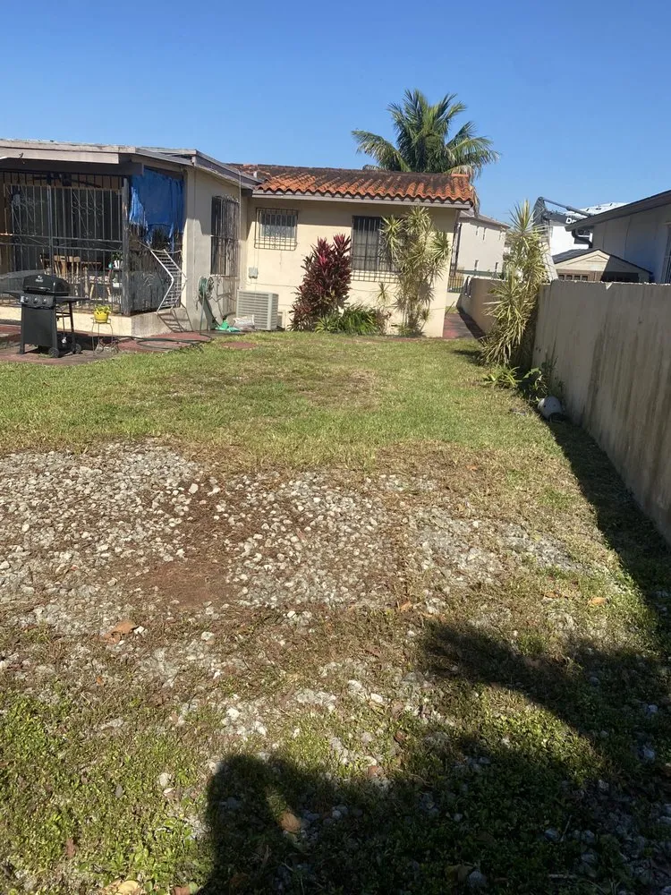 Professional landscaping services for residential properties in Miami Shores, FL by Green Blade