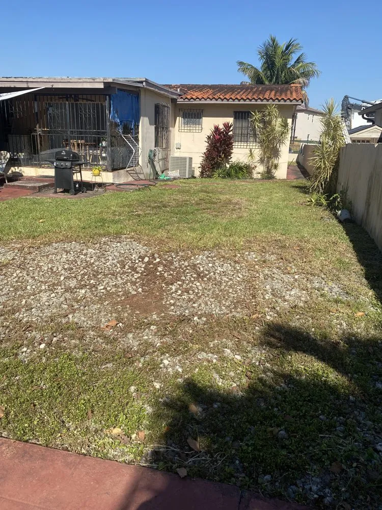 Local outdoor landscaping in Miami Shores, FL by Green Blade