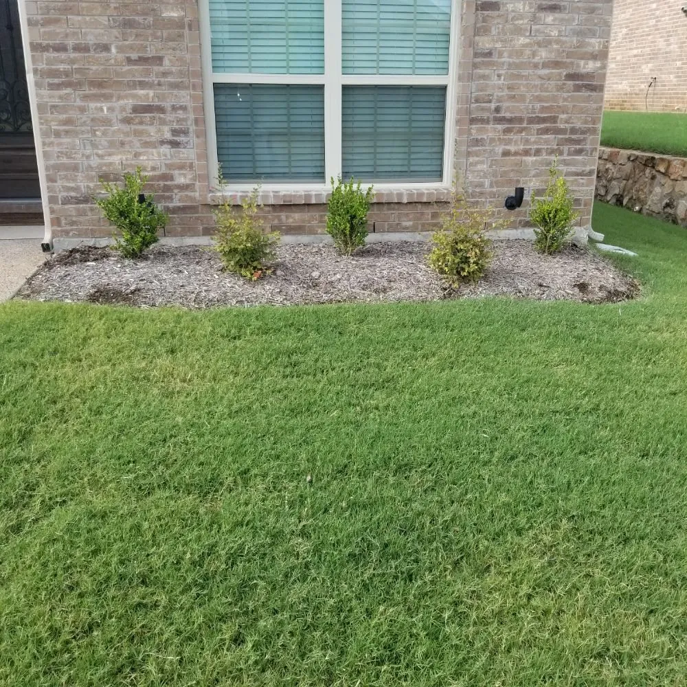 Expert lawn care service experts serving Dallas, TX - Green Blade Turf Management