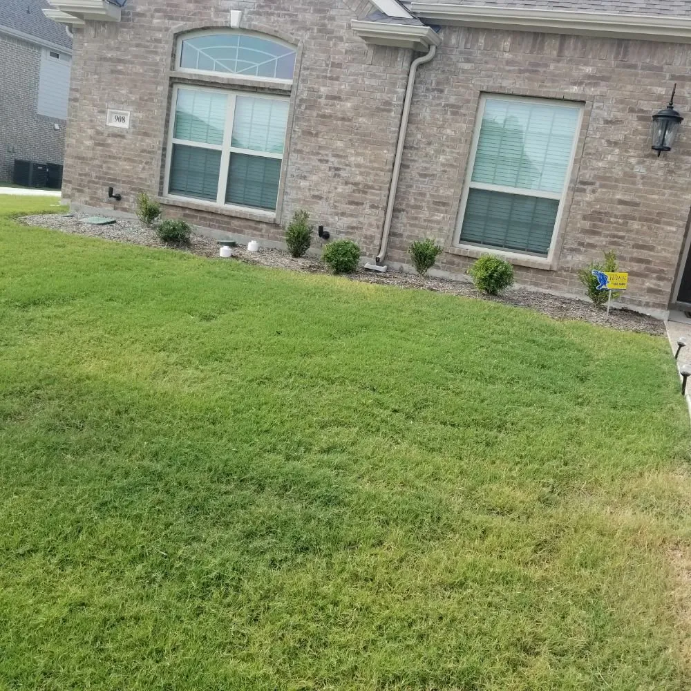 Top-rated yard maintenance with custom design in Dallas, TX by Green Blade Turf Management