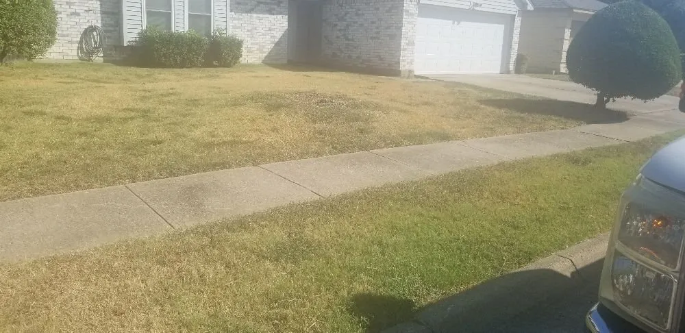 Custom lawn mowing service experts serving Dallas, TX - Green Blade Turf Management