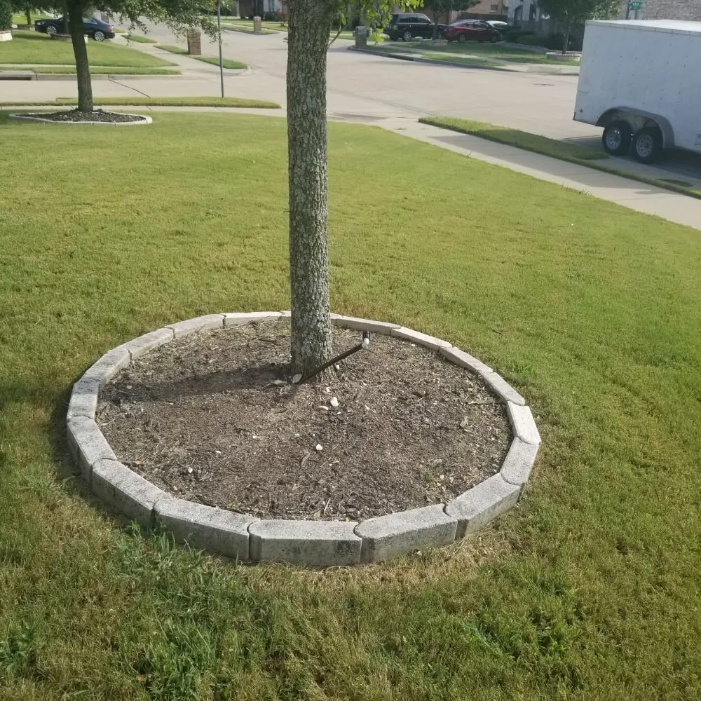 Affordable outdoor landscaping near you in Dallas, TX by Green Blade Turf Management