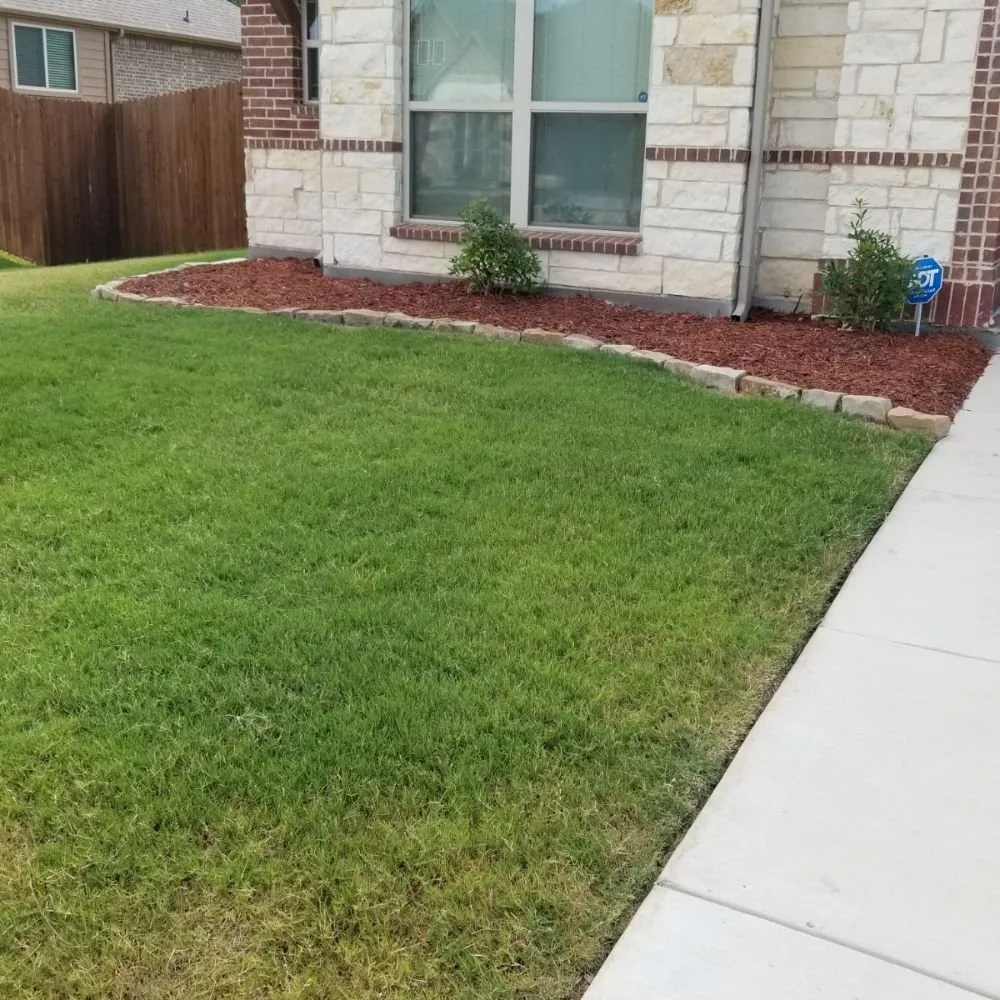 Expert lawn mowing service experts serving Dallas, TX - Green Blade Turf Management