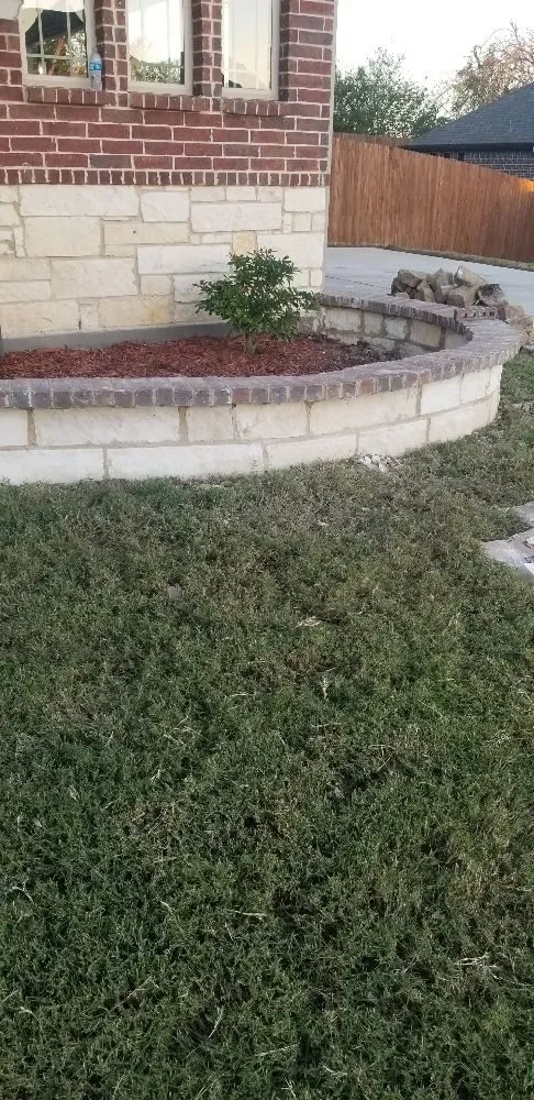 Expert lawn care service in Dallas, TX - Green Blade Turf Management