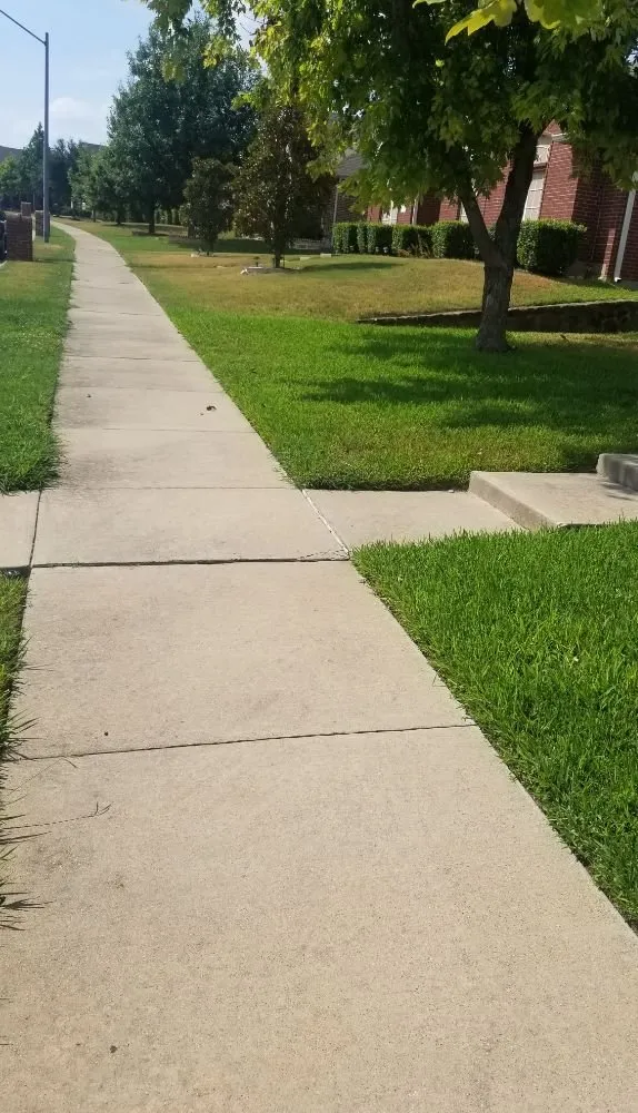 Professional landscape design for year-round maintenance in Dallas, TX by Green Blade Turf Management