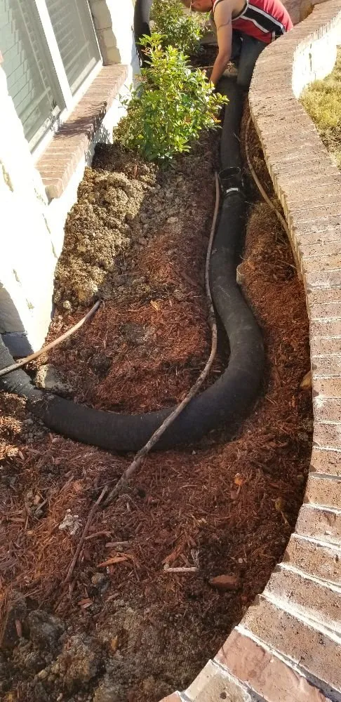 Professional yard cleanup service in Dallas, TX - Green Blade Turf Management