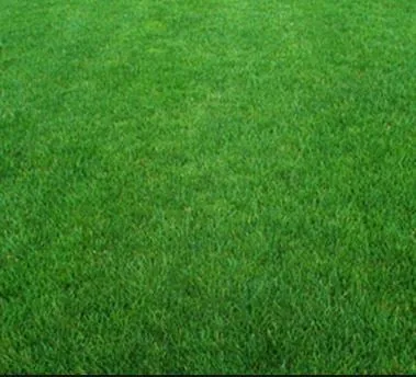Top-rated lawn mowing service in Nampa, ID by Green Blades Lawn Maintenance
