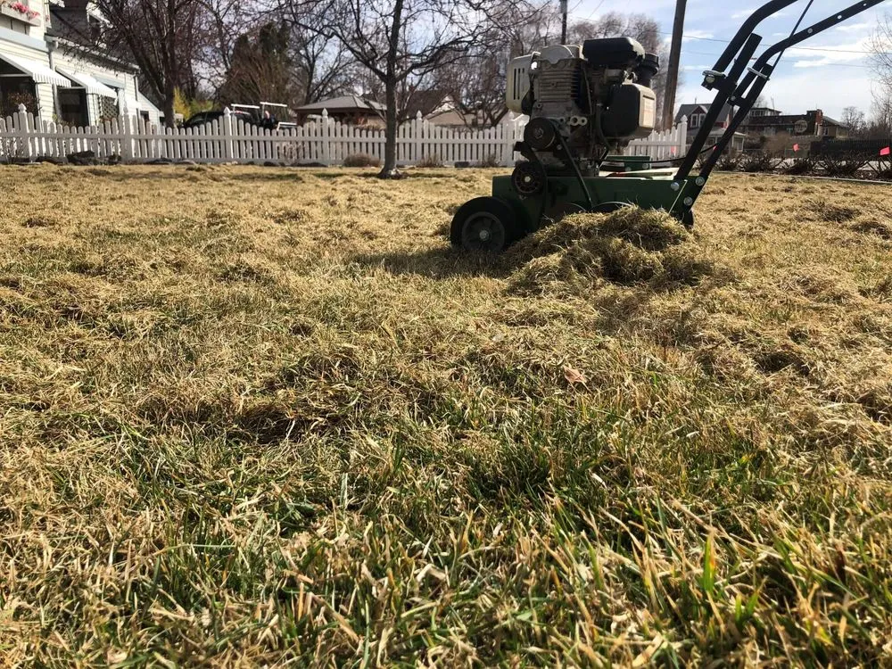 Trusted landscape installation for homes in Nampa, ID by Green Blades Lawn Maintenance
