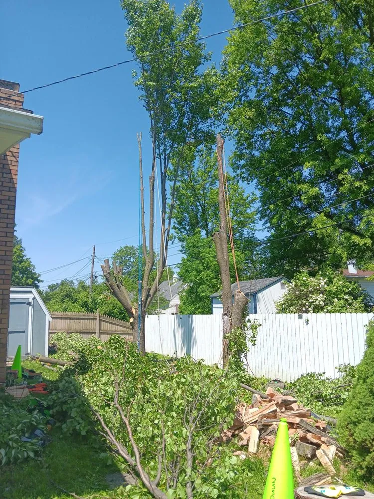 Top-rated landscaping services in Fort Wayne, IN - Green Bost