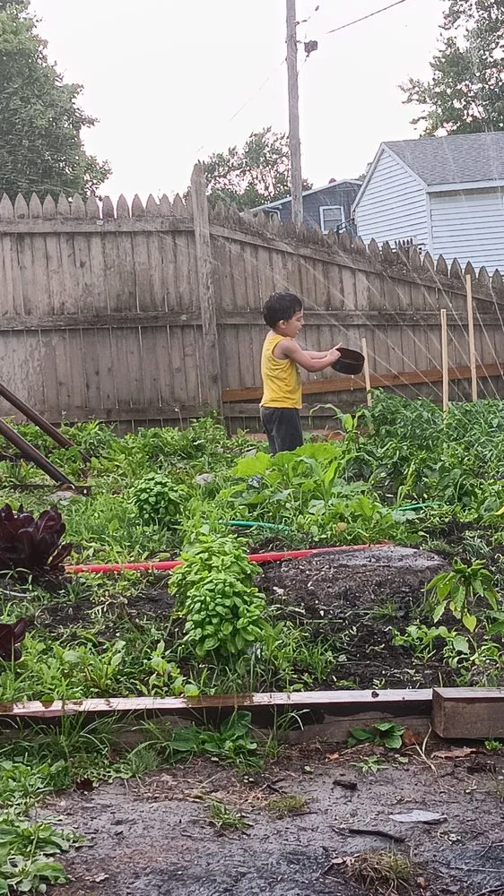 Reliable landscaping services near you in Fort Wayne, IN by Green Bost