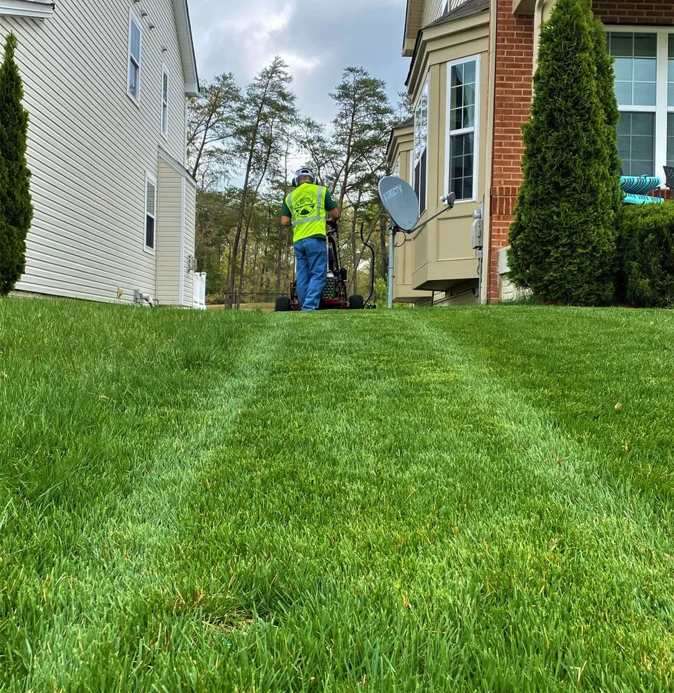 Professional garden landscaping for outdoor upgrades in Waldorf, MD by Green Branch Landscaping