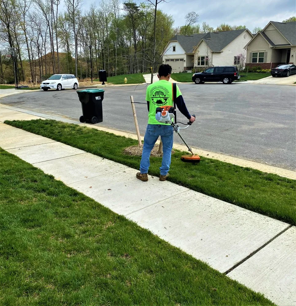 Top-rated yard cleanup service experts serving Waldorf, MD - Green Branch Landscaping