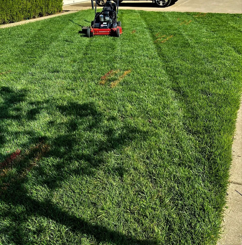 Custom outdoor landscaping in Waldorf, MD - Green Branch Landscaping