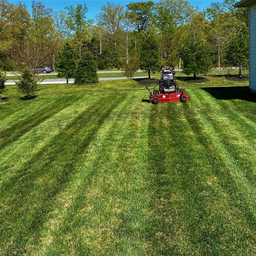 Trusted lawn mowing service in Waldorf, MD - Green Branch Landscaping