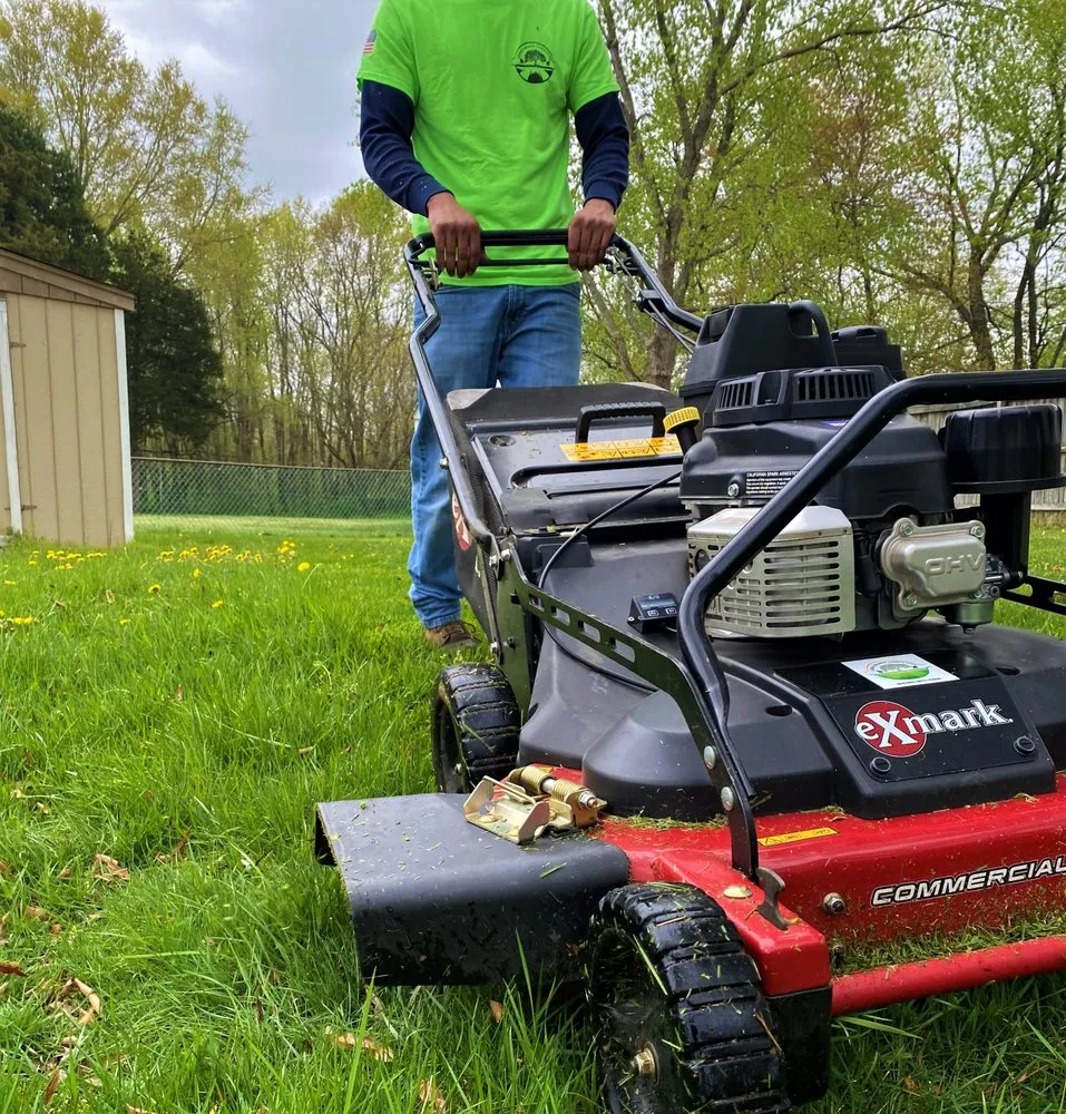 Local landscaping services in Waldorf, MD by Green Branch Landscaping
