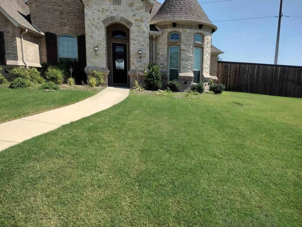 Reliable landscaping services in Frisco, TX by Green Bridge Lawn and Landscape