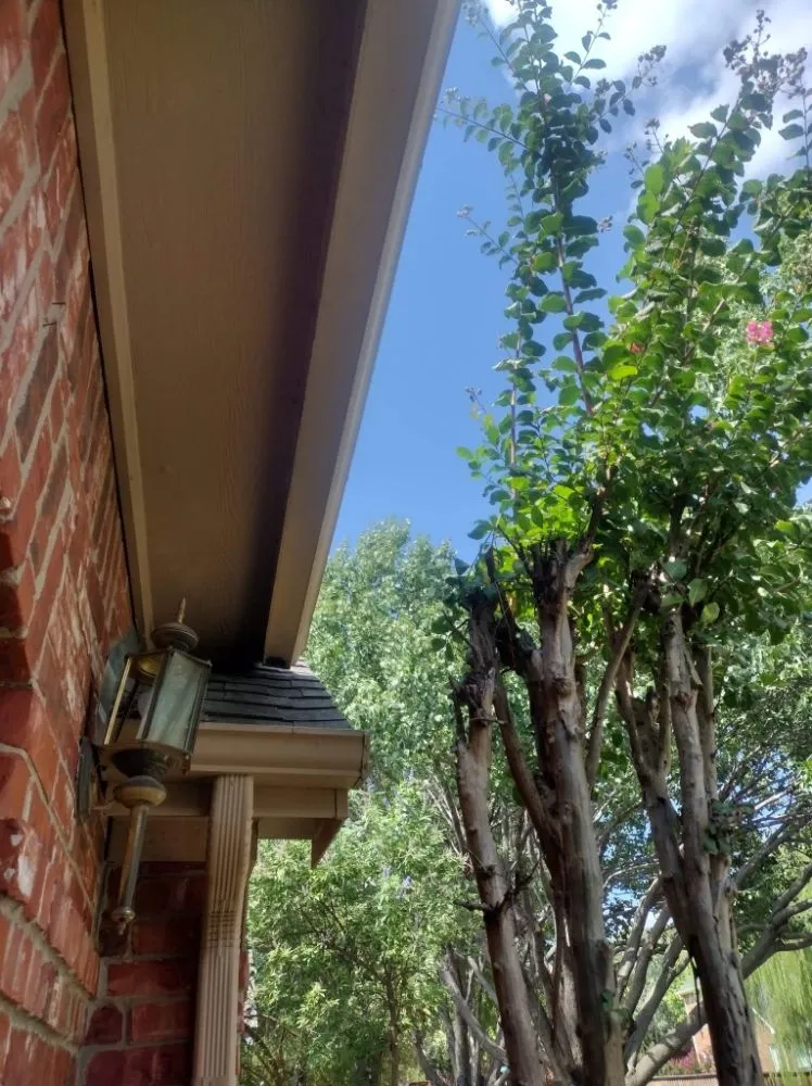 Trusted yard cleanup service in Frisco, TX by Green Bridge Lawn and Landscape