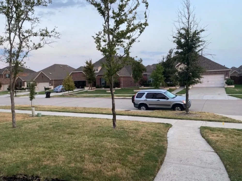 Top-rated garden landscaping in Frisco, TX - Green Bridge Lawn and Landscape