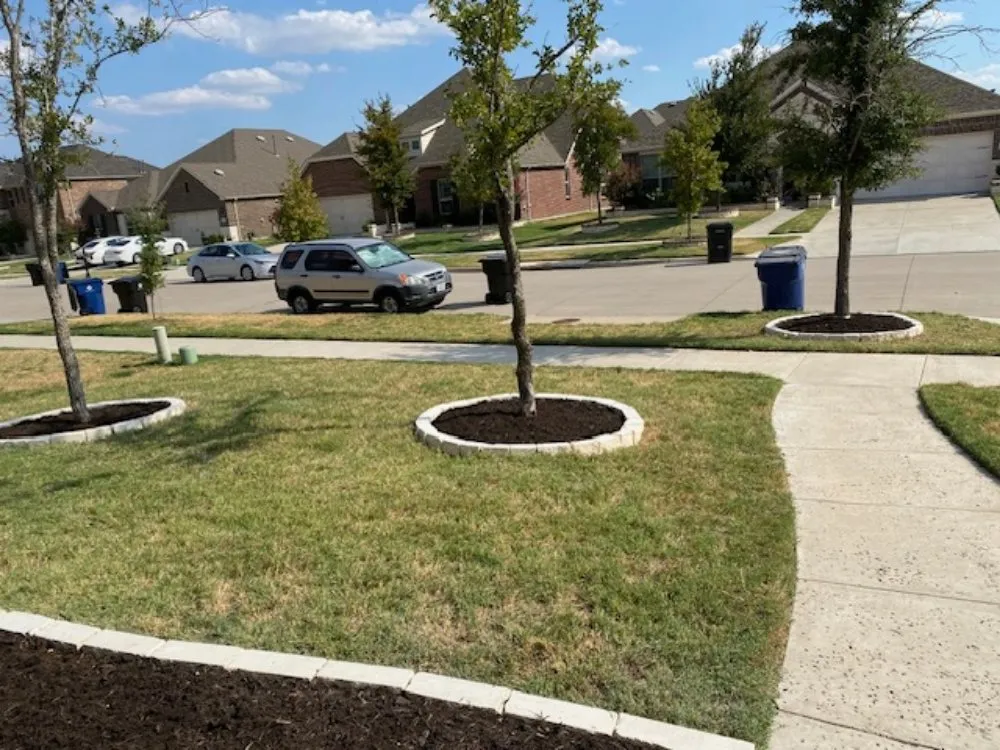 Reliable landscaping services experts serving Frisco, TX - Green Bridge Lawn and Landscape