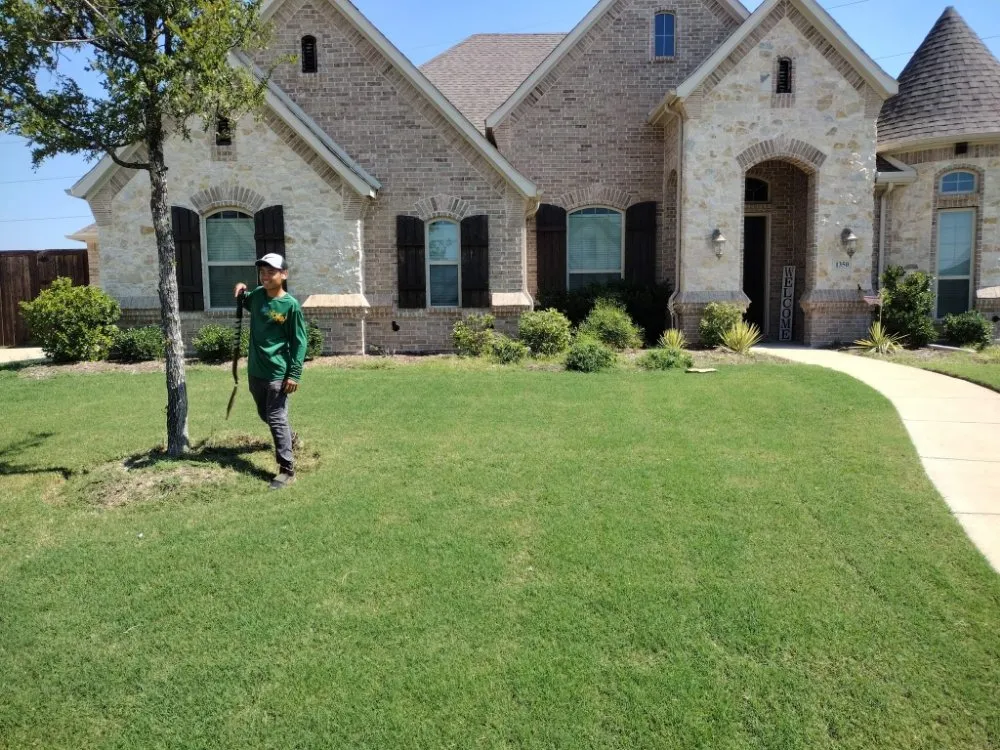 Top-rated residential landscaping in Frisco, TX - Green Bridge Lawn and Landscape