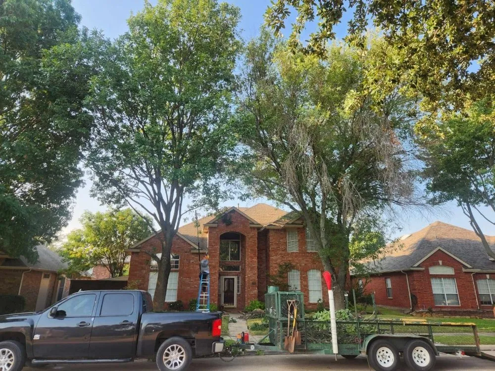 Top-rated lawn mowing service in Frisco, TX - Green Bridge Lawn and Landscape