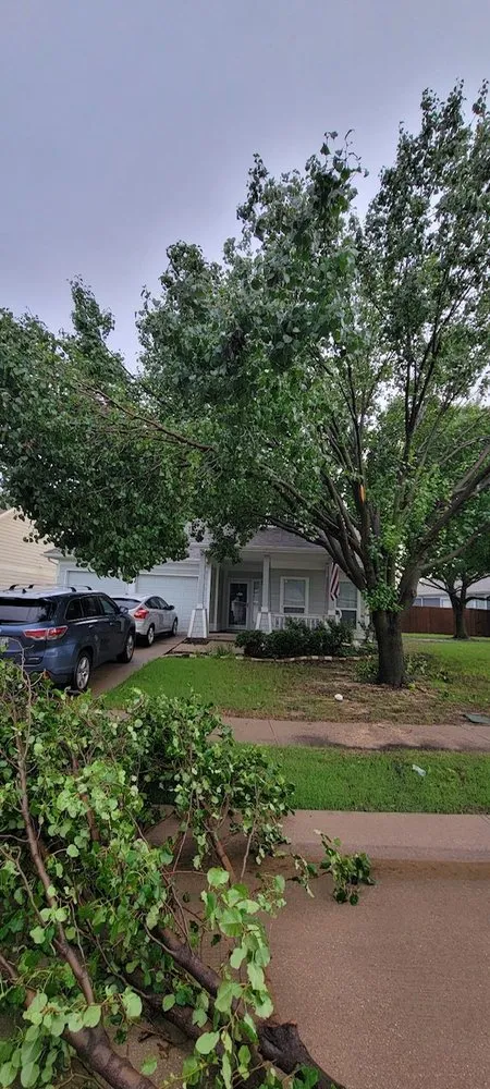 Local lawn care service with custom design across Frisco, TX - Green Bridge Lawn and Landscape