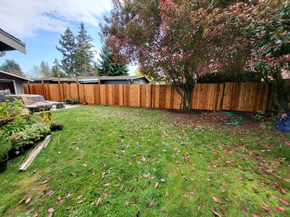 Expert yard cleanup service in Seattle, WA by Green Bridge Professional Landscaping & Construction