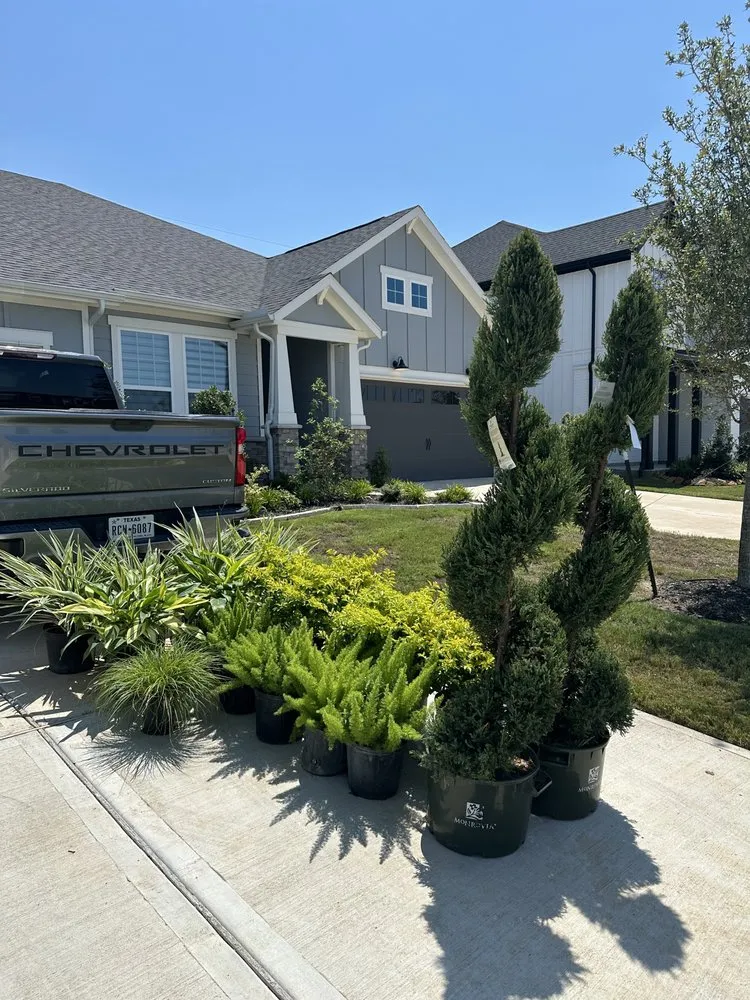 Reliable residential landscaping in Katy, TX by Green Bros Tx Landscaping
