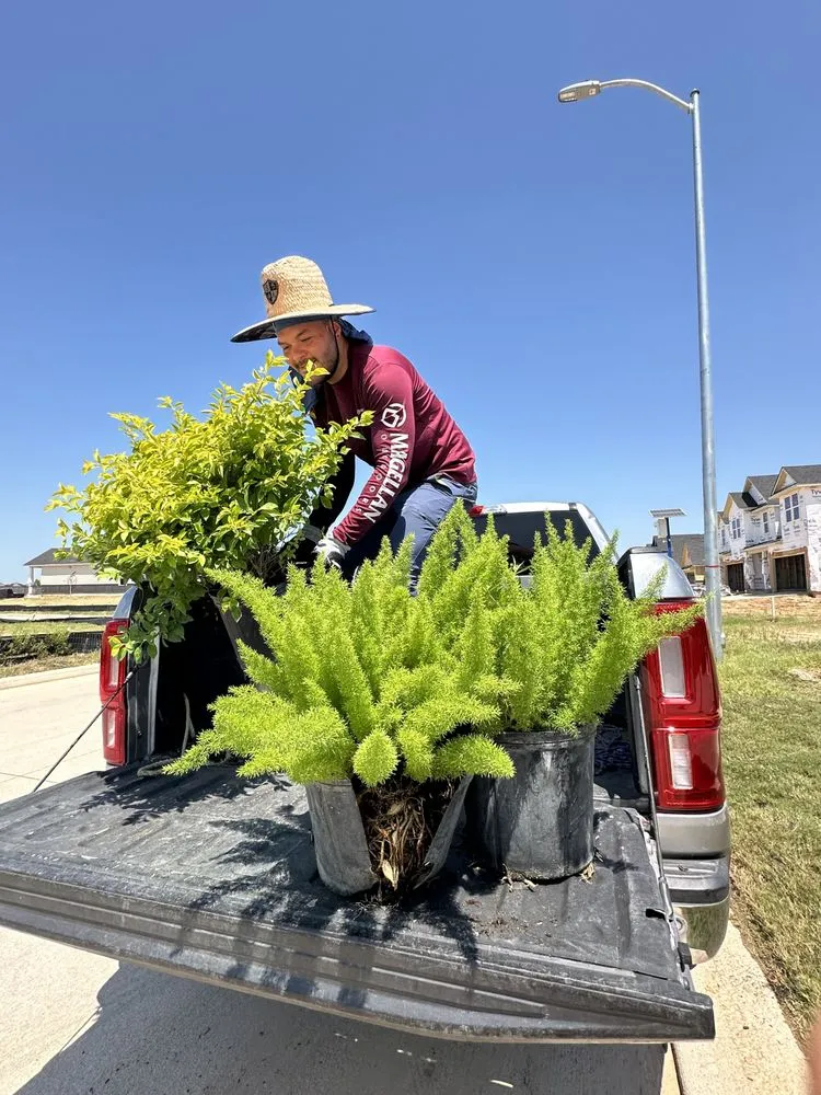 Professional residential landscaping in Katy, TX - Green Bros Tx Landscaping